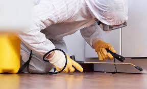 Best Fumigation Services  in Odon, IN